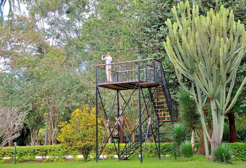 هتل Arumeru River Lodge