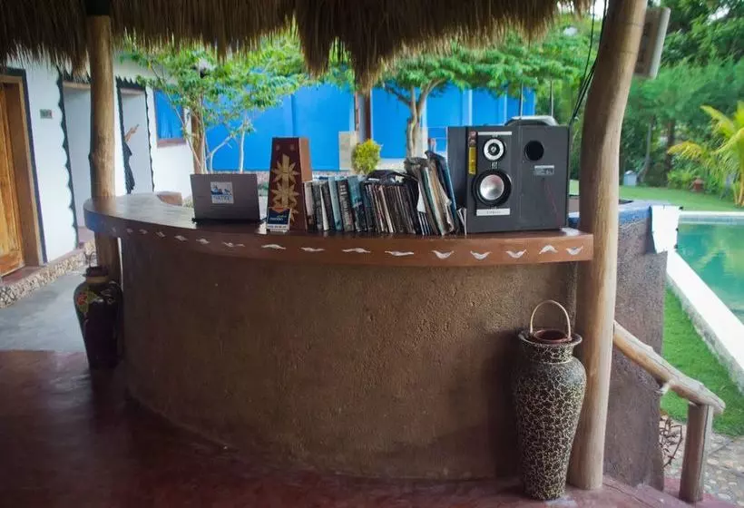 ホテル Blue Monkey Retreat Areguling Lombok