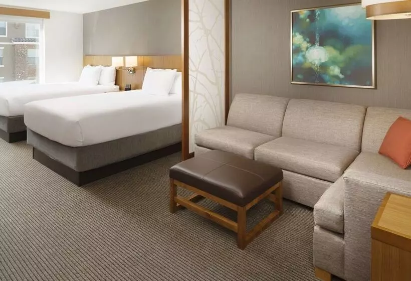 هتل Hyatt Place Lubbock