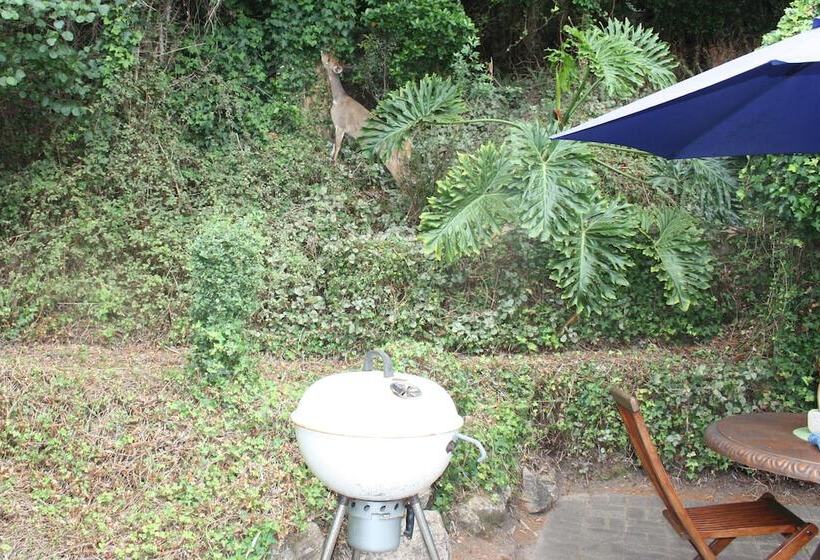 פנסיון Cloverleigh Guest House