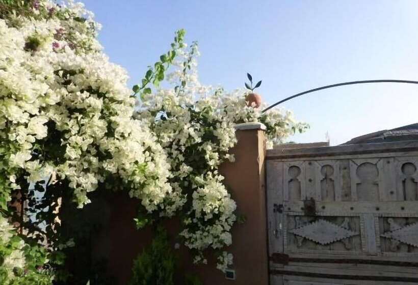 펜션 Palais Mandarine