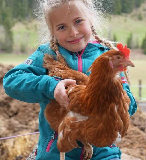 فندق Ferienwohnungen Foidlhof