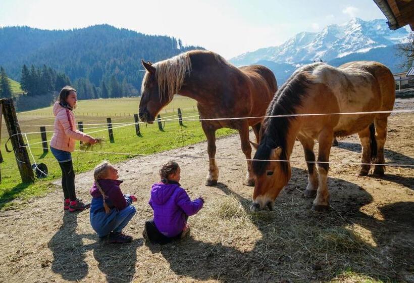 فندق Ferienwohnungen Foidlhof