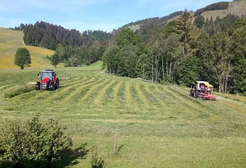 ホテル Ferienwohnungen Foidlhof
