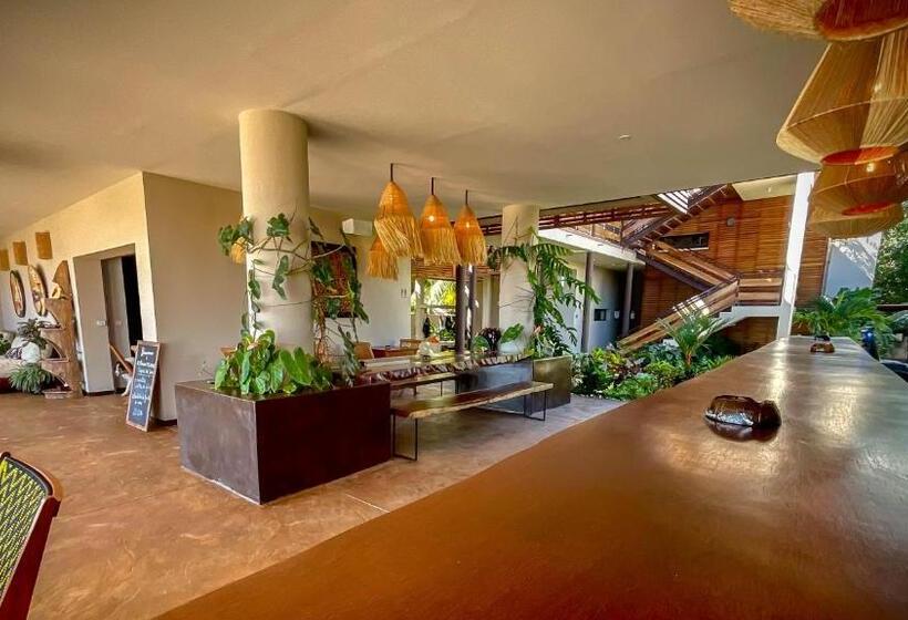 Hotel Maison Ylang Dive Center