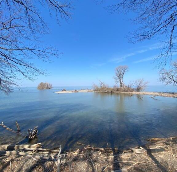 Shady Shores Rv Resort & Campground