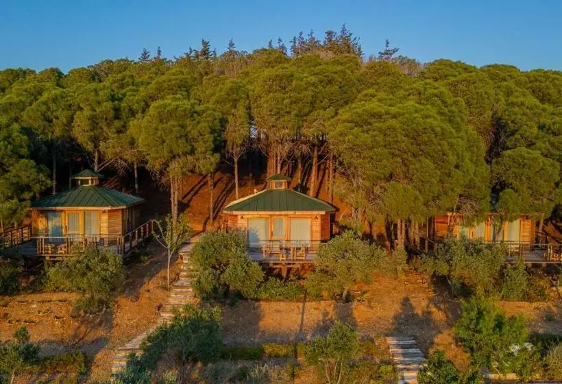 Hotelli Kairos Valley Health & Nature Resort