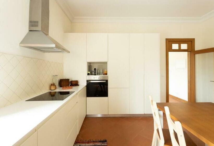 호스텔 Countryside Villa With Nature & Pool Casa Dos Vasconcelos