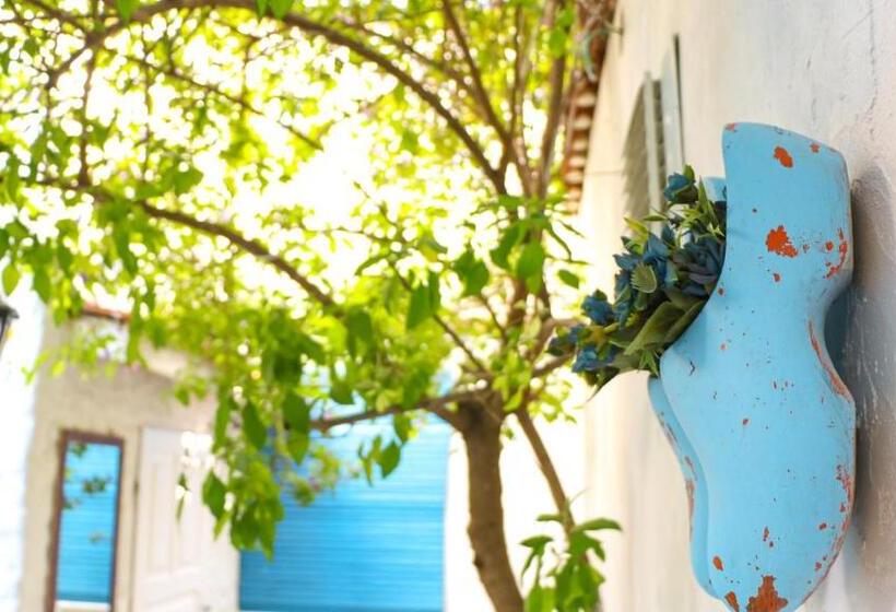 בית מלון כפרי Ayşece Boutique