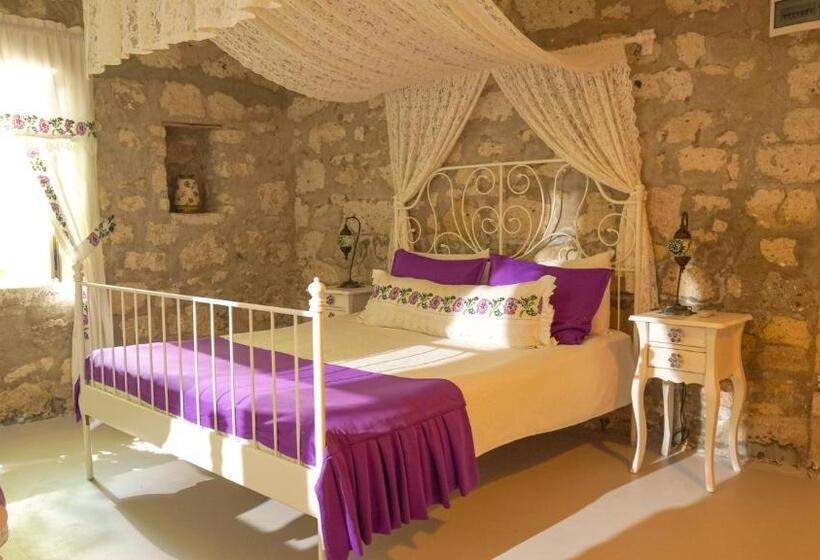 בית מלון כפרי Ayşece Boutique