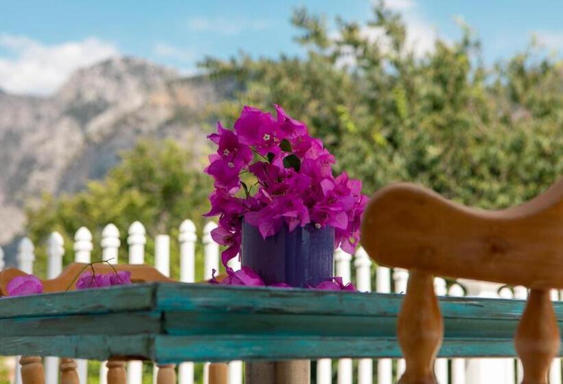 酒店 Olya Boutique