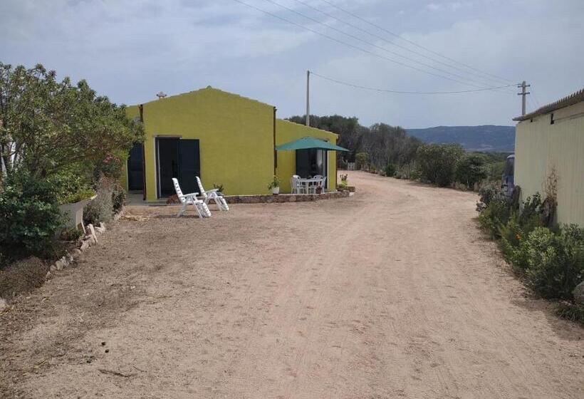 膳宿费 B&b Li Salcuneddi