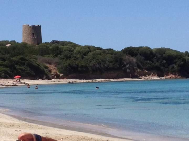 膳宿费 B&b Li Salcuneddi