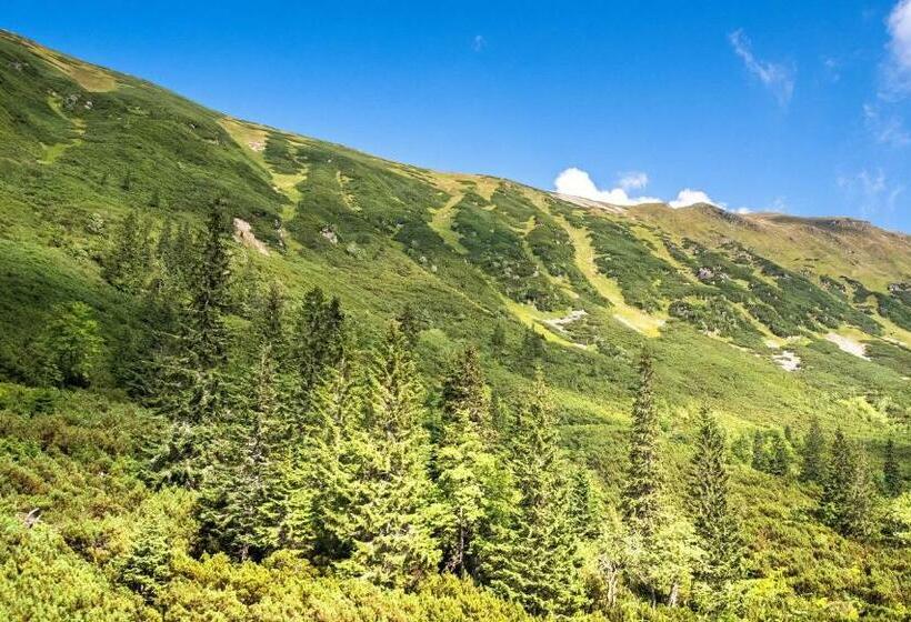 旅馆 ťatliakova Chata