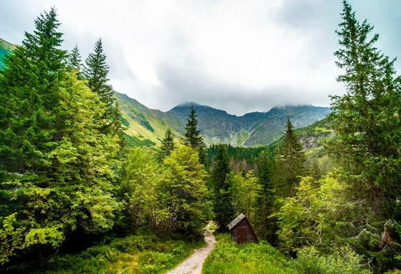 旅馆 ťatliakova Chata