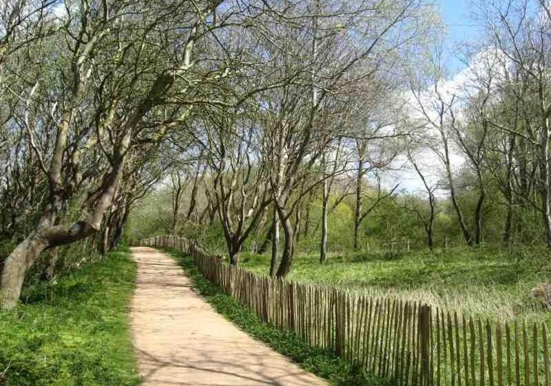 پانسیون Sirenetta