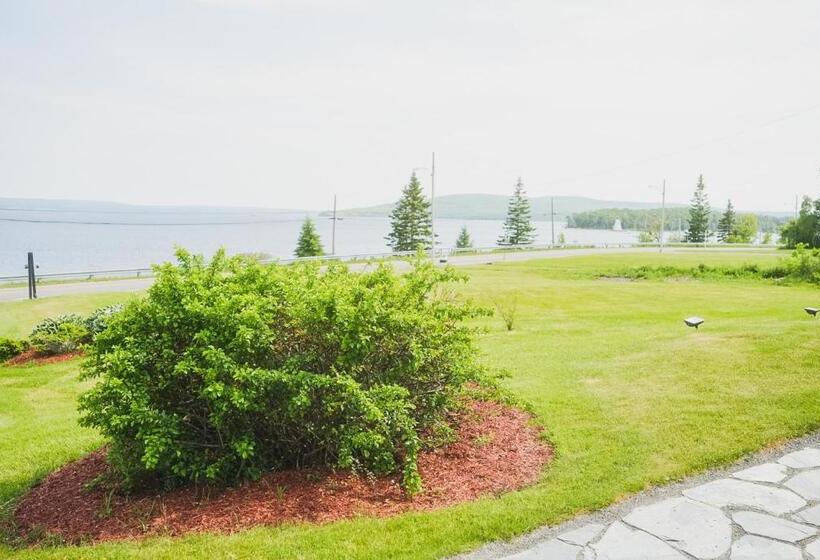 Bed & Breakfast Bellview Luxury Suites