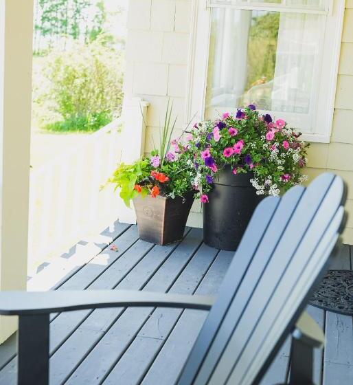 Bed & Breakfast Bellview Luxury Suites