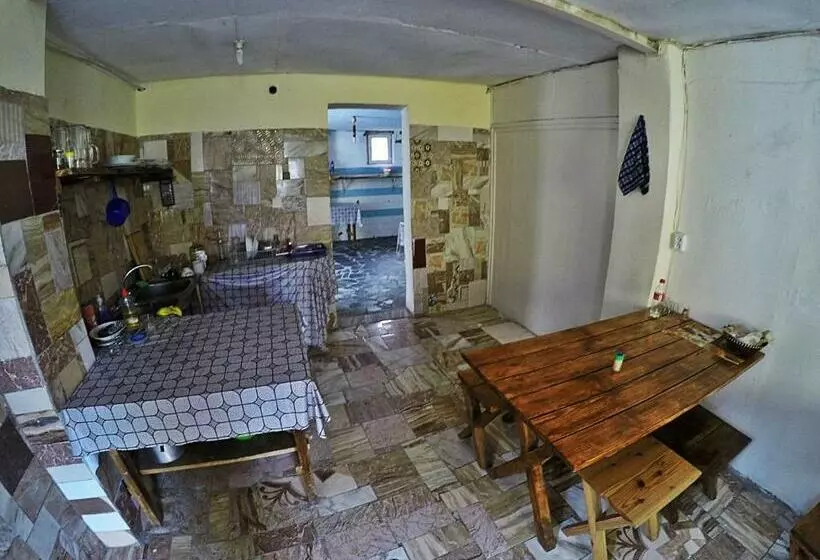 Hostel Rustaveli 67