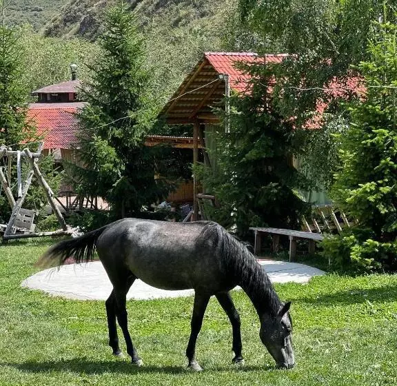 ホテル Eco Resort Kara Bulak