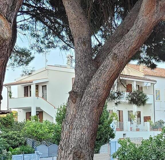 ベッドアンドブレックファースト L’asfodelo