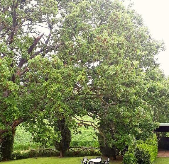 فندق Agriturismo La Baroncella