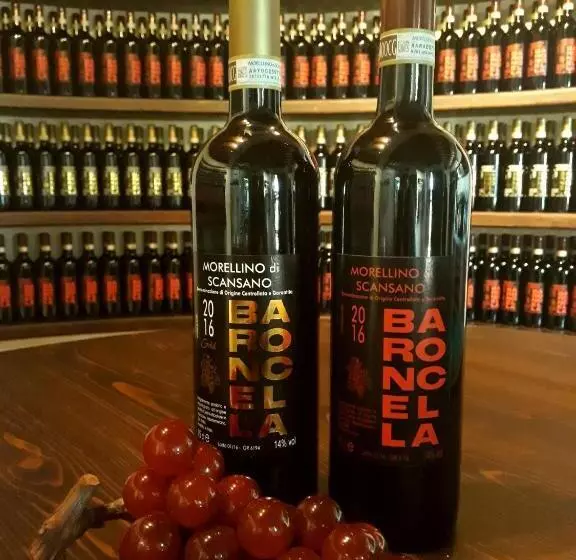 Hotelli Agriturismo La Baroncella