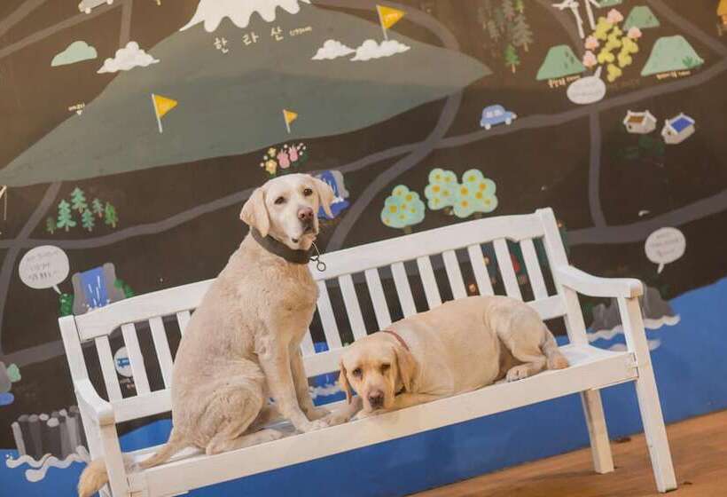 ユースホステル Backpacker's Home