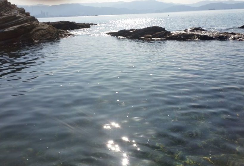 Petit  Wakayama  Hostel