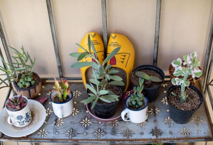 مبيت وإفطار African Tulip Guesthouse