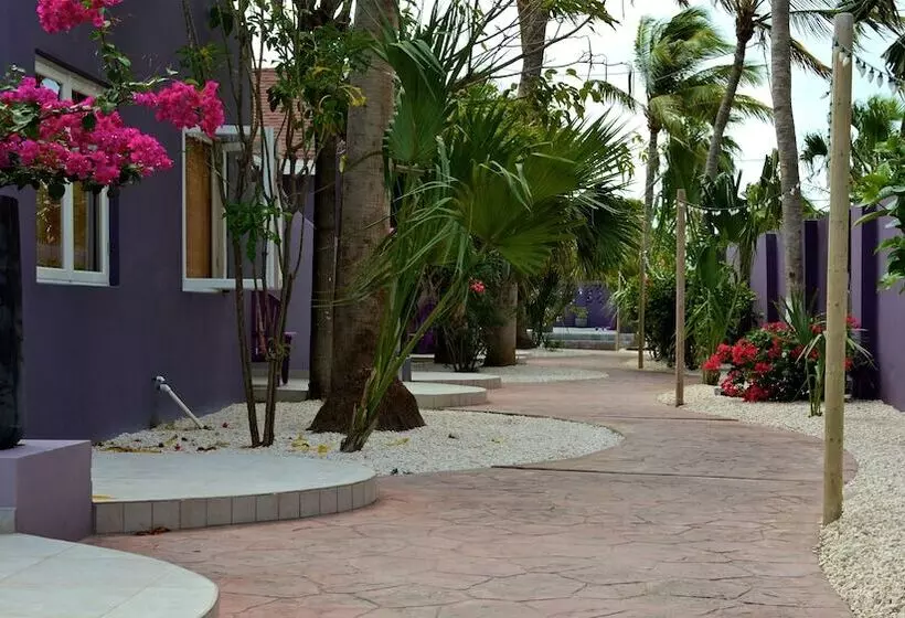 Cadushi Apartments