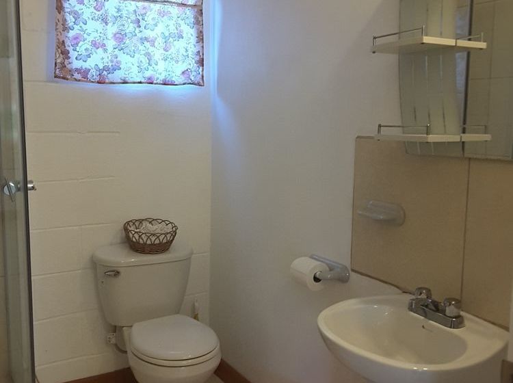 Date Palms Apartments