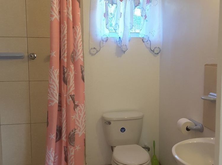 Date Palms Apartments