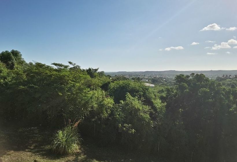 Date Palms Apartments