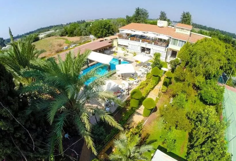 Fitosinn