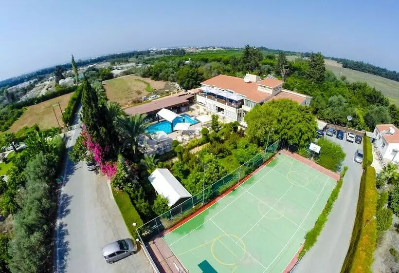 Fitosinn