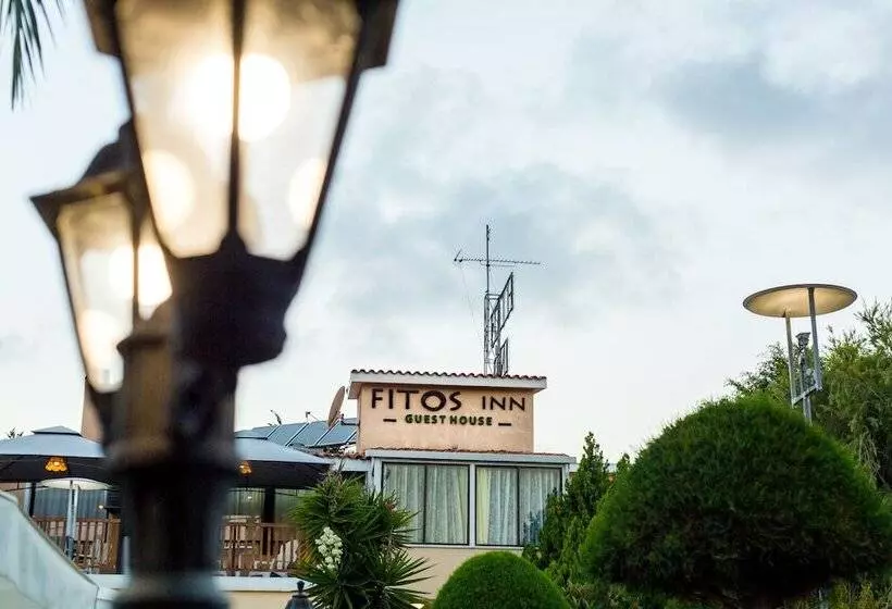 Fitosinn