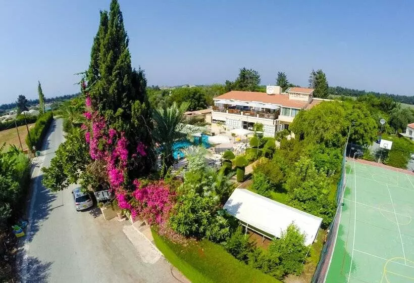 Fitosinn