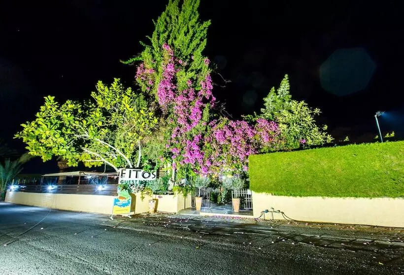 Fitosinn