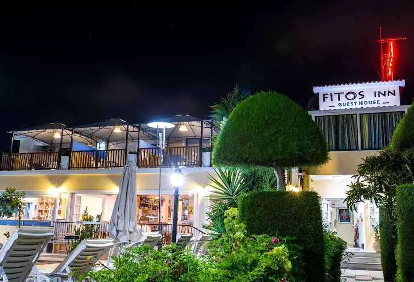 Fitosinn