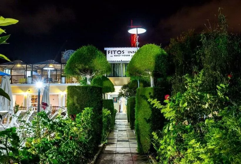 Fitosinn