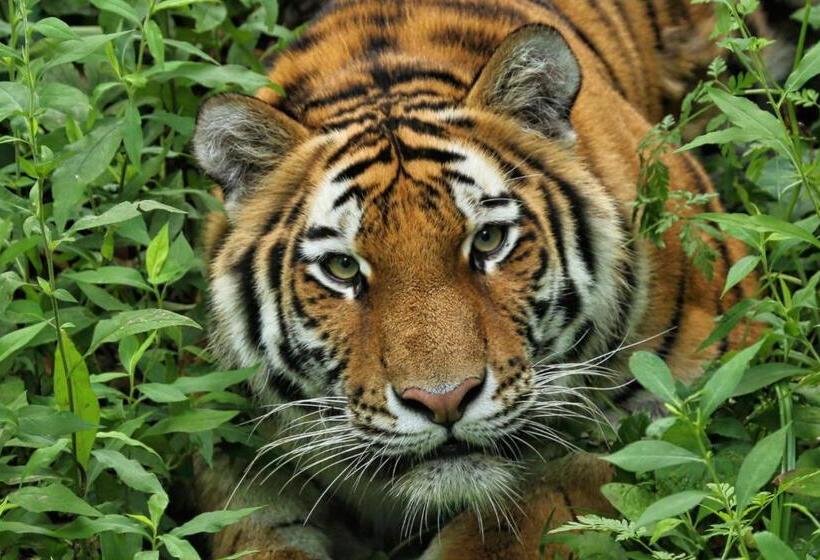 فندق Holiday Inn Express & Suites Eagan   Minneapolis Area, An Ihg