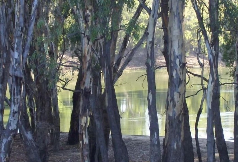 מוטל Murray Waters Motor Inn & Apartments