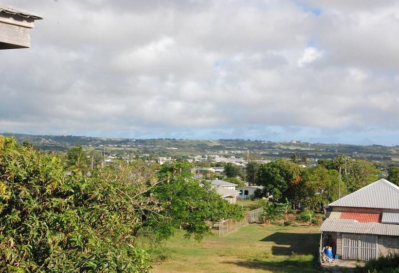 The Terraces At Mangrove