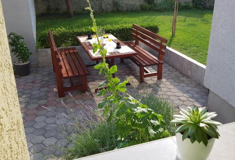 پانسیون Guest House Nova