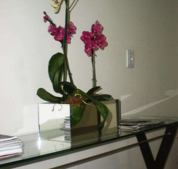 호텔 Villaggio Nobre