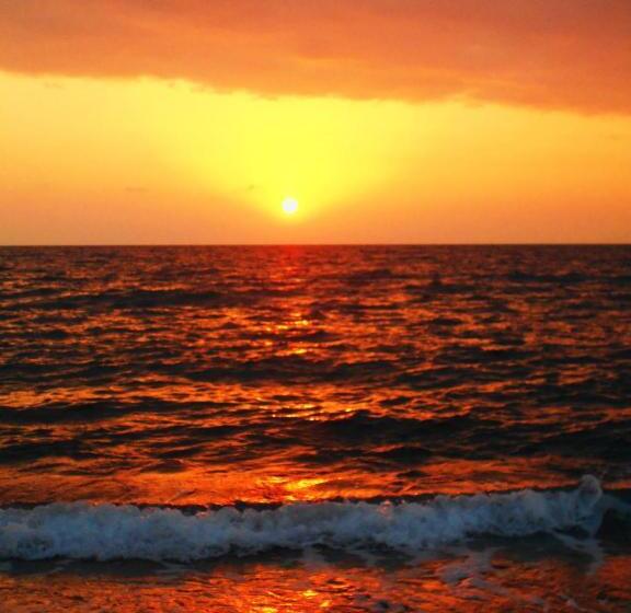 هاستل Guest House 293