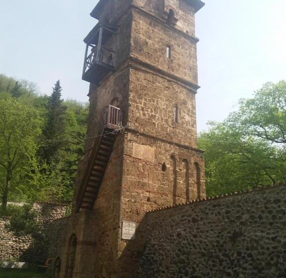 هاستل Guest House Darejani