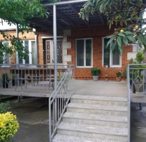 هاستل Guest House Darejani