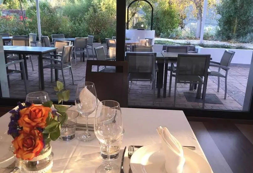 Hotel Amalurra Granada